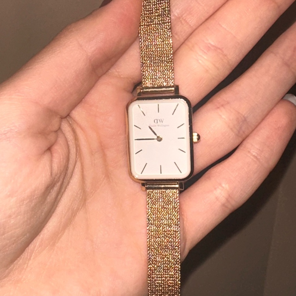 Daniel Wellington Rose Gold Mesh Watch
